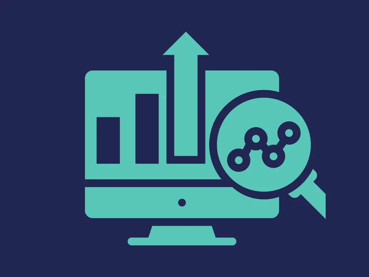 SEO & Analytics